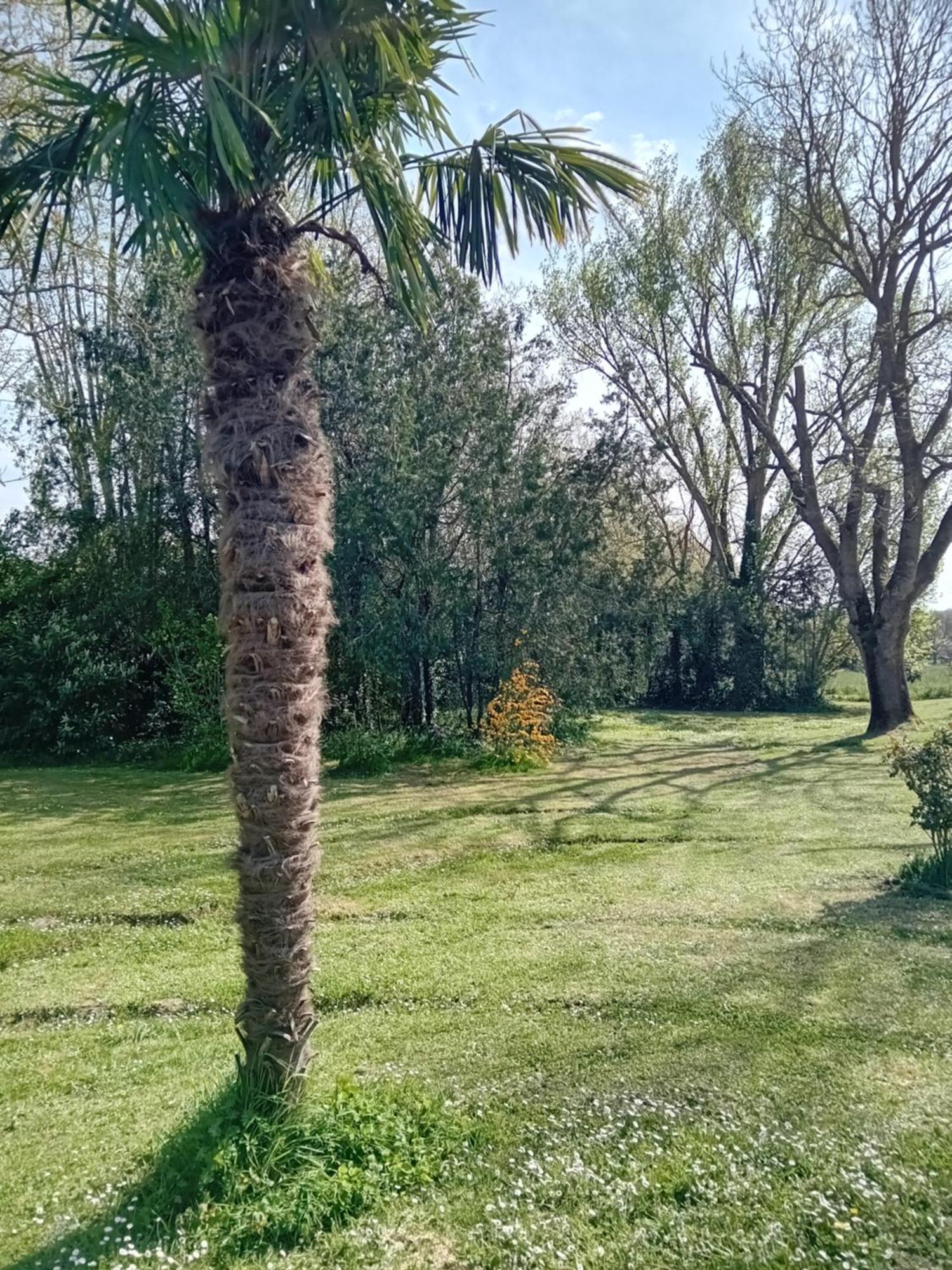 Ferme Aquinaut - Le Paradis Montesquieu-Volvestre 외부 사진